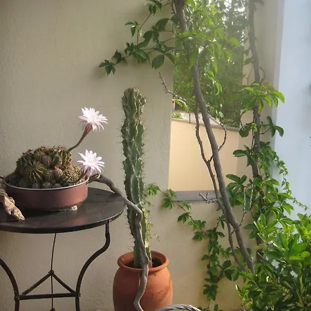 House Antaya Villa *