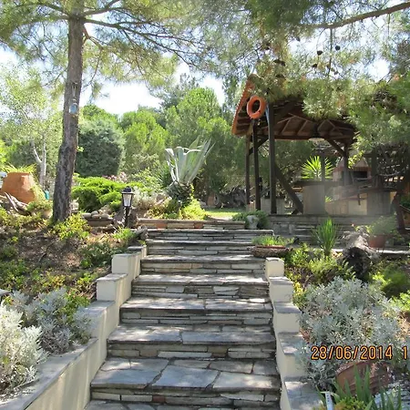 Villa House Antaya *
